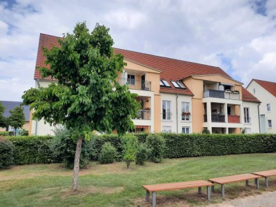 Attraktive 2-Raum-Wohnung mit Loggia und Mietergarten in Gransee