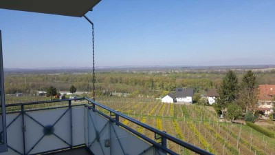 4-Zimmer-Wohnung mit Terrasse und Einbauküche in Bad Bellingen / Rheinweiler