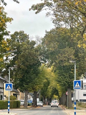 Bergheim, helle 3 Zimmer-Neubau-Wohnung mit Terrasse in Waldnähe