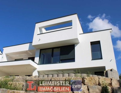 LUXUS PUR! - NEUBAU BEZUGSFERTIG! ---- Architektenvilla mit Pool in Premiumlage von Aschaffenburg Ob