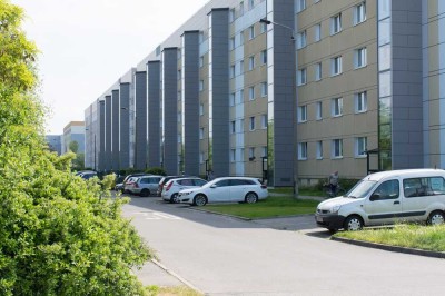 3-Raum-Wohnung in der Nähe des Kulkwitzer Sees