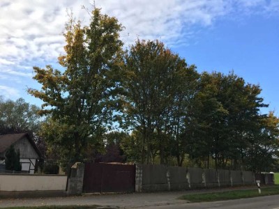 Gartenhaus auf einem romantischen Grundstück mit Pool undTeich