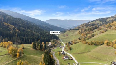 Mitten in der Natur – Wohnen im Herzen Kärntens - Großzügiges Wohnhaus mit drei Wohnungen und vielen Möglichkeiten– auch ideal zur Appartement- oder Kurzvermietung geeignet.