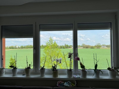 3-Zimmer-Wohnung mit Balkon &amp; Tiefgaragenplatz in zentraler Lage von Wels