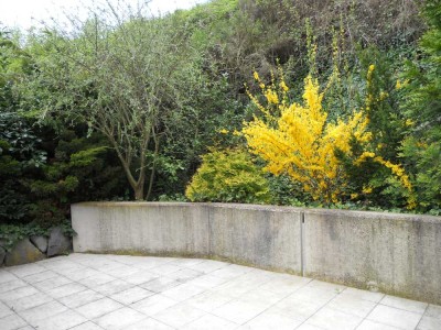 Gemütliche 2 Zi-Whg mit großer Terrasse