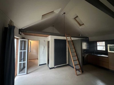 Charmantes 1-Zimmer Loft in Mannheim-Sandhofen mit Balkon