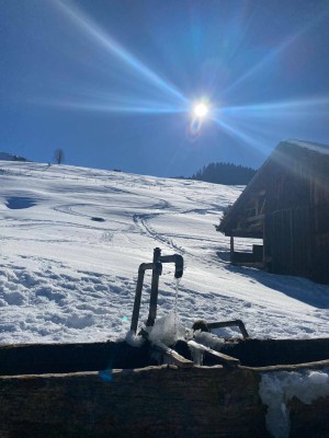 Ferienwohnung zwischen Arlberg und Bodensee