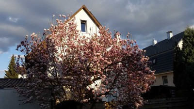 6-Zimmer-Einfamilienhaus mit EBK, Terasse, Garten, Hof, Balkon in Reutlingen