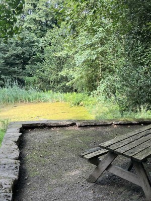 Finden Sie den verwunschenen Frosch! Luxuriöse Wohnung mit eigenem Froschteich und Schlosspark - mit