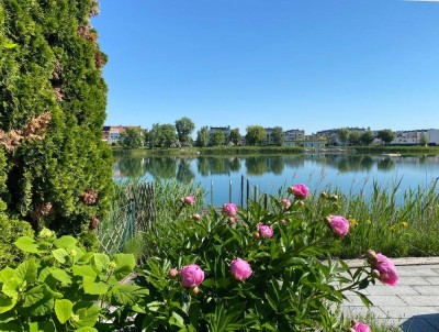 Modernes Wohnen direkt am Wasser an d. Wr. Stadtgrenze