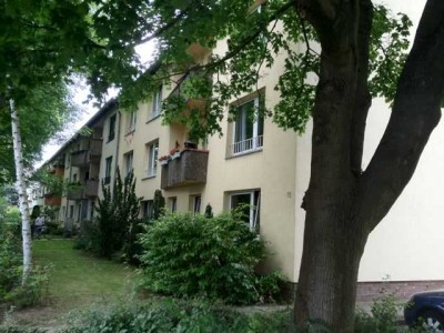 Wohnung, 02. OG, mitte, Nierenhofstr. 13