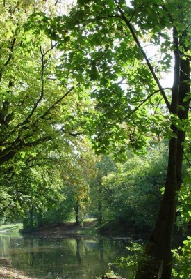 Neuwertige Wohnung nahe Lochham/Stadtpark Pasing