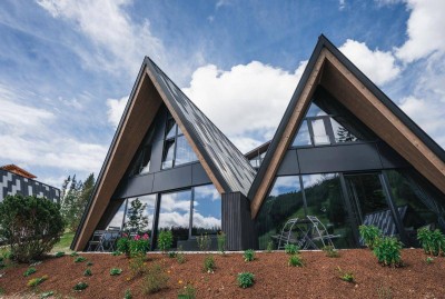 Buy-to-Let Alpine Lodges