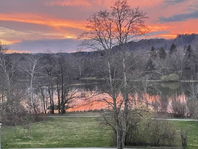 4,5 Zimmer am Stadtweiher mit tollem Ausblick