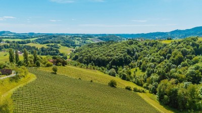 Scheibengrund in Traumlage