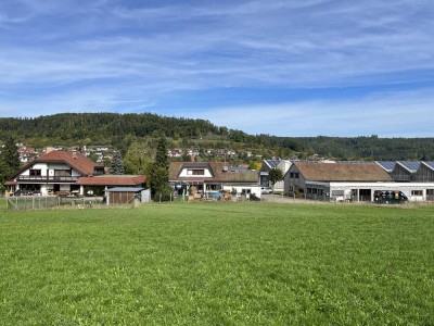Großes Anwesen mit Halle/ Büro, 2 Wohnhäuser sowie Bauplatz auf gesamt fast 20.000 m² Grundstück