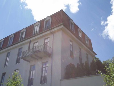 Herrlicher Blick über die Baumwipfel