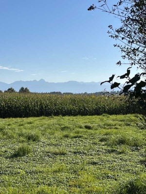 2 Einheiten - ca. 450m² Nfl. - über 1.400m² GS