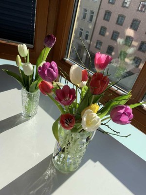 (Zwischenmiete) Top Lage! Vollmöblierte 40 Quadratmeter Wohnung nahe Hbf