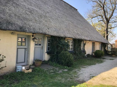 � Charmante 4-Zimmer-Wohnung im Reetdachhaus mit Terrasse, Garten & Obstbäumen in Alt-Brenz