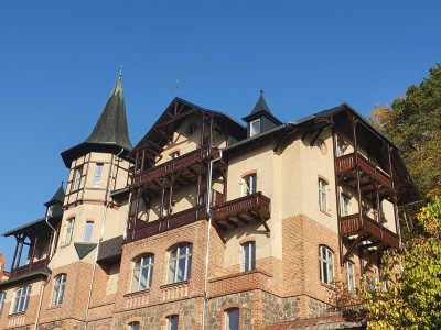 Moderne Wohnung im historischen Gebäude - erhabene Lage - Seeblick