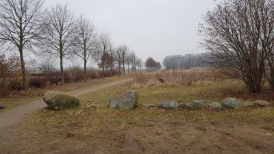 ⭐ Helle Wohnung in ruhiger grüner Umgebung