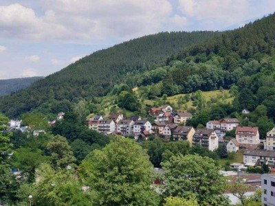 Helle 3-Zimmer-Altbau-Wohnung in zentrumsnaher Aussichtslage (Mietdauer: min. 4 Jahre)