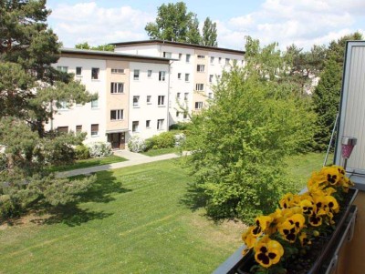 Vermietete 2-Raum-Wohnung mit Balkon in Berlin Wittenau (Reinickendorf)