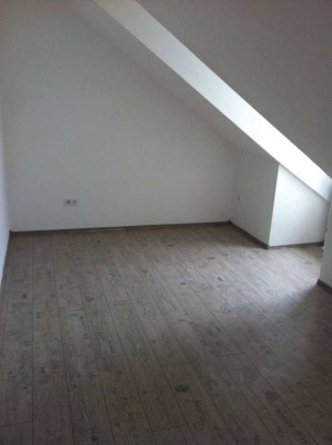 **Renovierte 1-Zimmer-Wohnung**