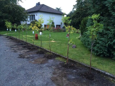 HELLE WOHNUNG MIT GROSSEM GARTEN