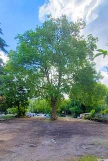 Baubeginn ist erfolgt - KfW40 - 4 Zimmer -II.OG - Aufzug - Top Lage