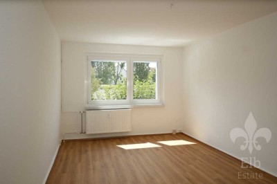 Frisch saniert mit Blick ins Grüne! Große Einraumwohnung im Erdgeschoss mit Balkon und Dusche
