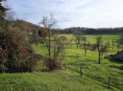 Wohnung (ideal als Ferienwohnung) mit sonniger Süd-Terrasse und herrlicher Aussicht