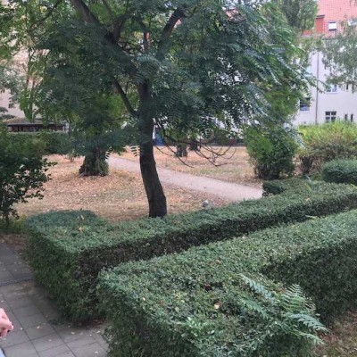 Top Altbau-Whg, Balk., große Kü, 2 gr. Zimmer