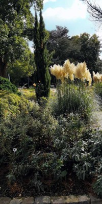 Citynahes EFH Nähe Aasee mit herrlichem Garten