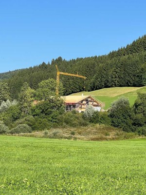 Alleinlage 3-Zimmer-Wohnung in Wertach (Wohnung über 2 Etagen)