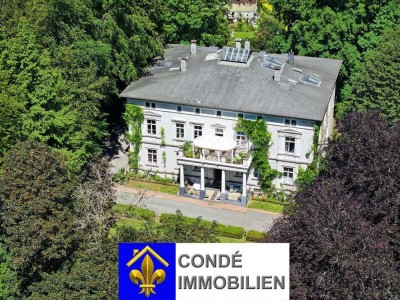 Villa im klassizistischen Stil mit großer Parkanlage zu verkaufen. Mehrfamilienhaus, Villa im Park