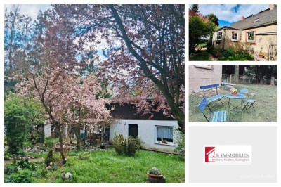 Selbstnutzung und/oder Kapitalanlage - 2 Häuser - riesiges Grundstück-Nähe der Ostsee und Greifswald