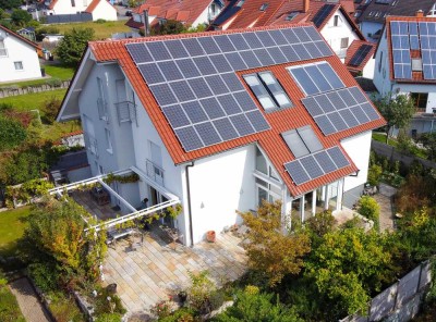 Großes Haus im Grünen