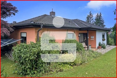 Hier finden Sie Ihr neues Zuhause!