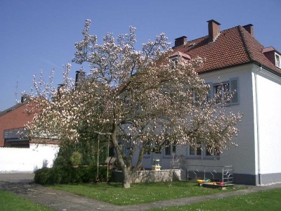 Gemütliche, helle 3-Zi-Dachgeschoßwohnung in Bi-West gut geeignet für Einzelperson oder Paar