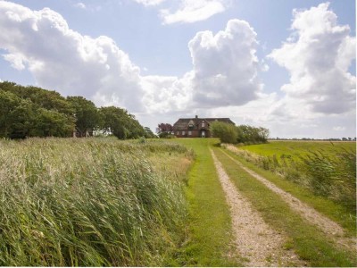 Reetdachhaus in aussichtsreicher Lage