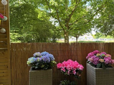 1-Zimmer Wohnung mit Balkon in Gießen (Zwischenmiete von 01.11.25 - 28.02.2026- )