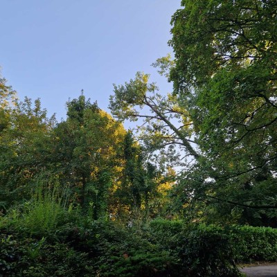 Helle 3-Zimmer-EG-Wohnung mit Balkon und Einbauküche in Baden-Baden