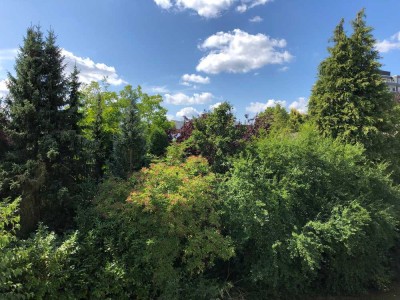sanierte, helle Wohnung mit Balkon