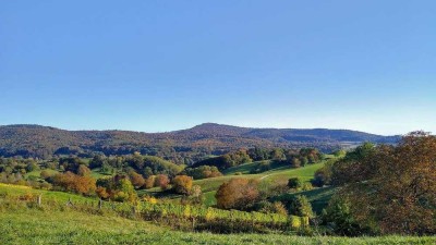 Voranfrage: Gemeinschaftliches Wohnen im Alter in Grasellenbach