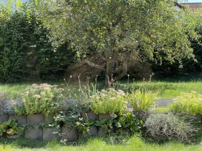 Ein Haus für die ganze Familie mit großem Garten