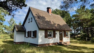 Ferienhaus in der Heide - Alleinlage am Meer