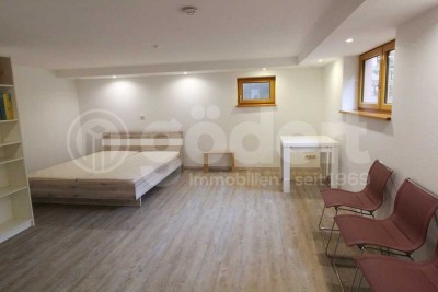 Aufgepasst Pendler! Schöne 1-Zimmer-Souterrain-Wohnung!