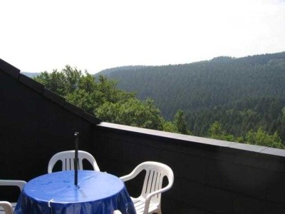 Dachgeschosswohnung mit traumhaftem Balkon